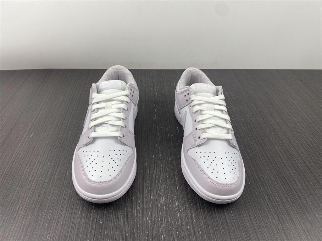 NIKE DUNK LOW  DD1503-116